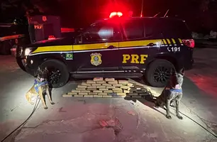 PRF apreende 55kg de skunk (Foto: Reprodução)