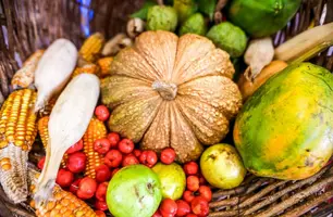 Programa de Aquisição de Alimentos beneficia mais de 32 mil famílias do Piauí (Foto: Reprodução)