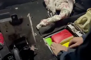 Supermaconha avaliada em R$ 2 milhões é apreendida pela PRF no litoral do Piauí (Foto: Reprodução)