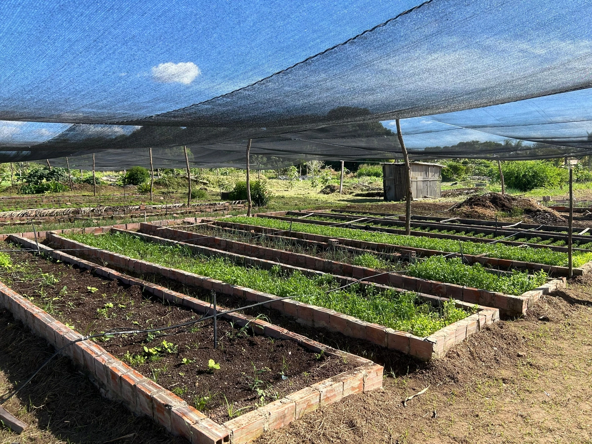 Agricultura familiar