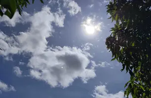 B-R-O-BRO de 2024 será mais quente com variação de 0,5 a 2 graus acima da média (Foto: Gabriel Bonfim/Conecta Piauí)