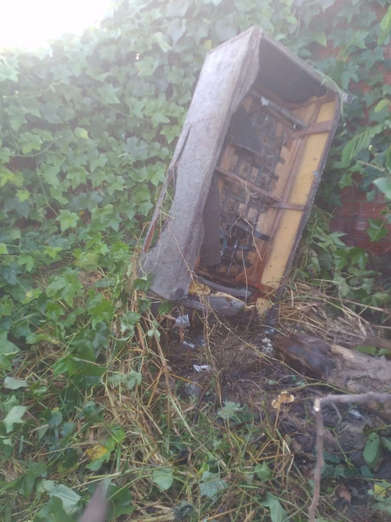 Cachorro morre e duas pessoas ficam feridas após ataque de abelhas em Campo Maior