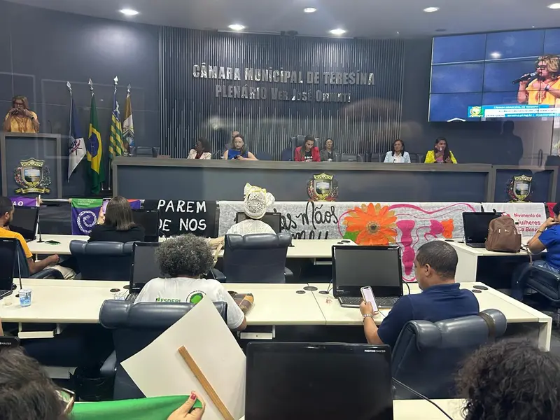 Câmara realiza audiência pública contra o PL do estupro