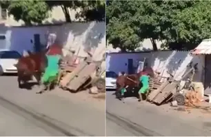 Carroceiro é flagrado agredindo cavalo (Foto: Reprodução)