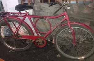 Ciclista morre atropelado por carreta após entrar em via BR-222 no Norte do Piauí (Foto: Reprodução/PRF)