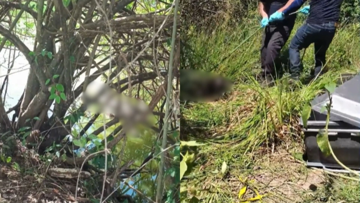 Corpo em decomposição é encontrado em Parnaíba com marcas de tiros na cabeça