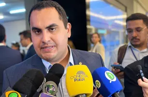 Deputado estadual Georgiano Neto (Foto: Tiago Moura / Conecta Piauí)