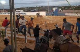 Disputa final da 40° vaquejada de Pimenteiras (Foto: Reprodução)