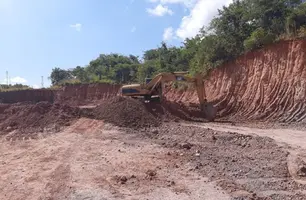 Dois homens são detidos pela polícia civil em Timon por crimes ambientais (Foto: Reprodução)