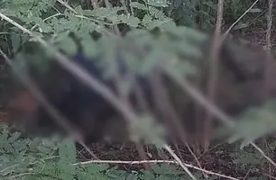 O corpo ainda não foi identificado (Foto: Reprodução)