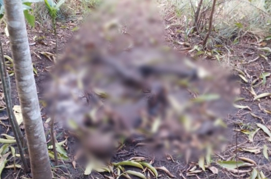 Ossada humana encontrada em Teresina