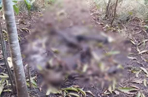 Ossada humana encontrada em Teresina (Foto: Reprodução)