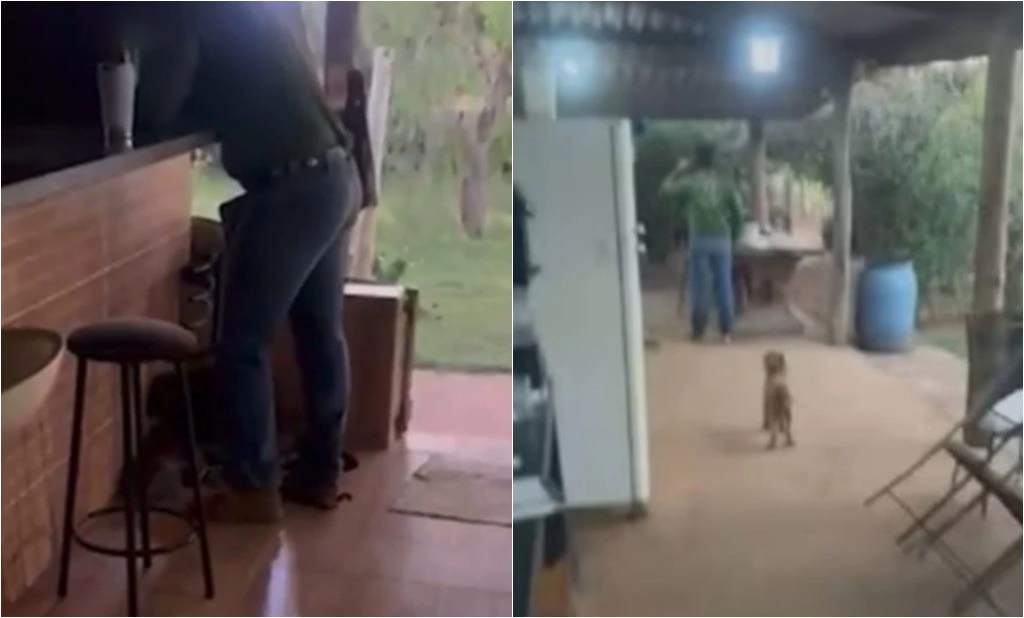 Parentes brigam e trocam tiros dentro de casa