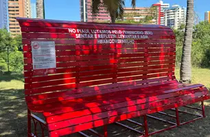 Piauí recebe Banco Vermelho para estimular denúncias de violência contra mulher (Foto: Tiago Moura/Conecta Piauí)