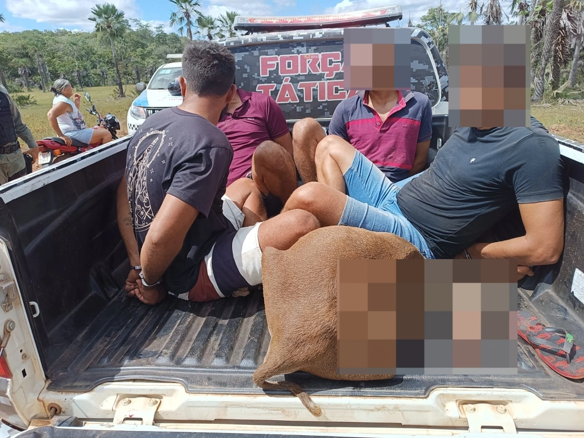 Quadrilha é presa após matar e furtar animais de propriedades em Campo Maior