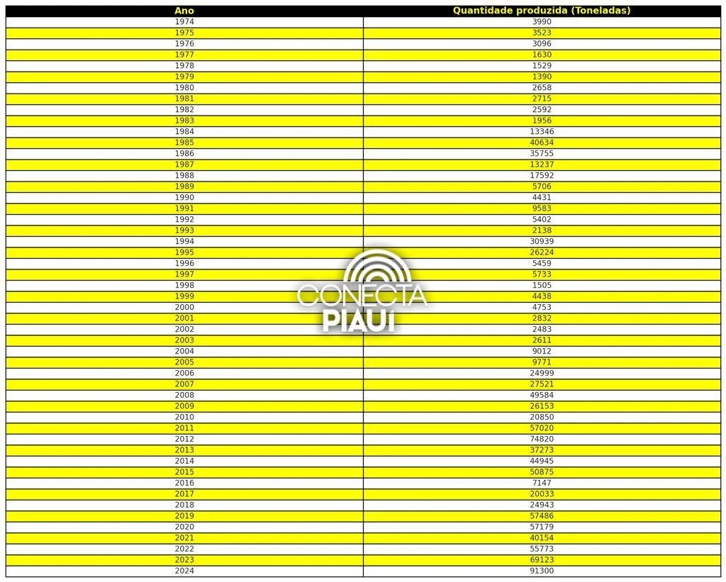 Algodão piauiense é o segundo que mais cresce e exporta no país