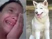 Garoto grava vídeo emocionado após ter cachorra roubada em Teresina
