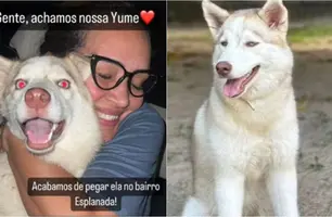 Cadela é encontrada na zona Sul de Teresina (Foto: Reprodução)