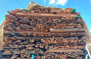 Carga de madeira ilegal apreendida pela PRF (Foto: Reprodução)