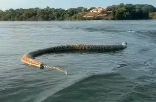 Cobra gigante é encontrada morta durante passeio de barco em Tocantins (Foto: Reprodução)