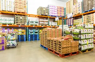 Comércio atacadista tem o melhor salário médio do setor no Piauí, diz IBGE (Foto: Reprodução)