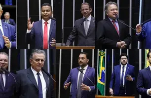 Deputados federais do Piauí (Foto: Ccom)