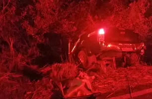 Ex-vereador no Piauí e professora morrem em acidente de carro (Foto: Reprodução)