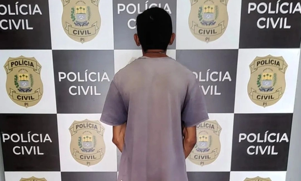 Genro agride própria sogra após desobedecer medida protetiva em Campo Maior