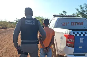 Homem é preso por agredir a própria irmã em São João da Serra (Foto: Divulgação)