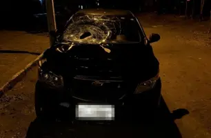 Idosa morreu após ser atropelada na BR-316 (Foto: Reprodução)