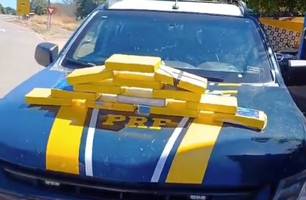 Jovem de 24 anos é presa no Piauí transportando 13,7 kg de cocaína em ônibus interestadual (Foto: Reprodução)