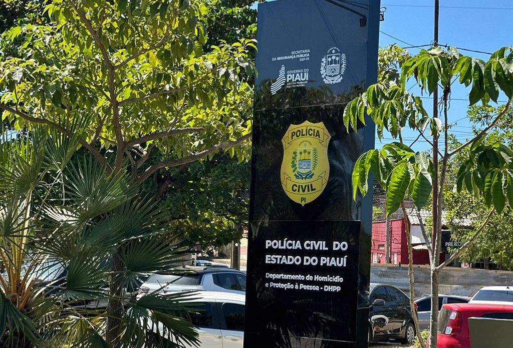 Polícia Civil do Piauí - Departamento de Homicídios e Proteção a Pessoa (DHPP)