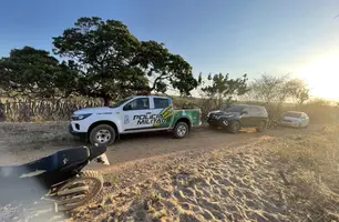 Polícia Civil prende homem com várias armas e munições na zona Rural de Geminiano (Foto: Ilustração)