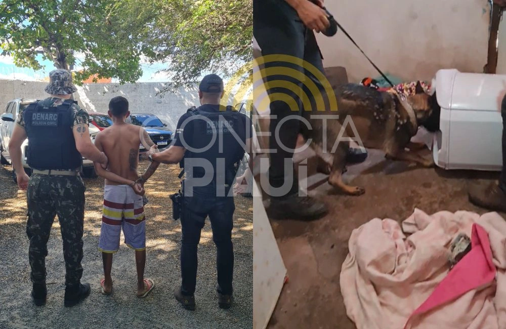 Polícia cumpre cinco mandados de busca e apreensão na zona Sudeste de Teresina