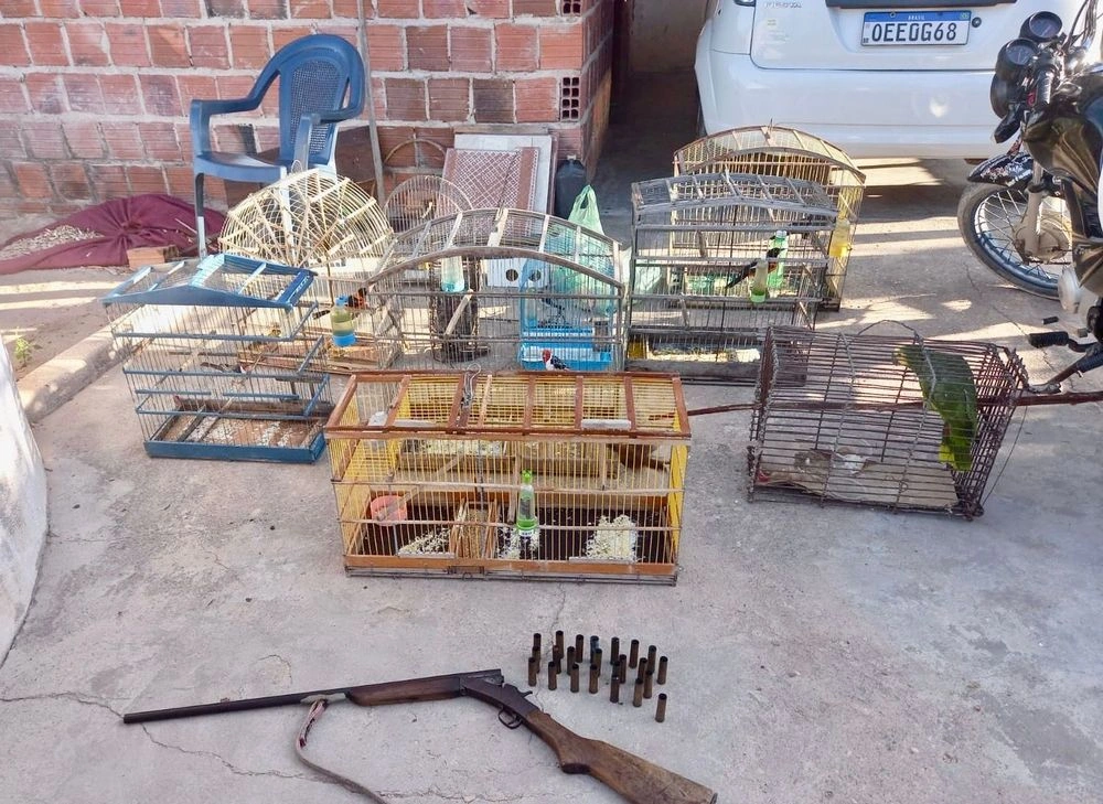 Semarh e Polícia Civil deflagram operação contra caça ilegal de animais silvestres