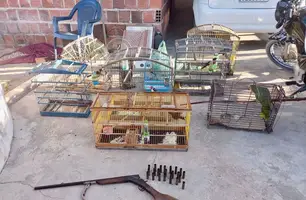Semarh e Polícia Civil deflagram operação contra caça ilegal de animais silvestres (Foto: Divulgação)