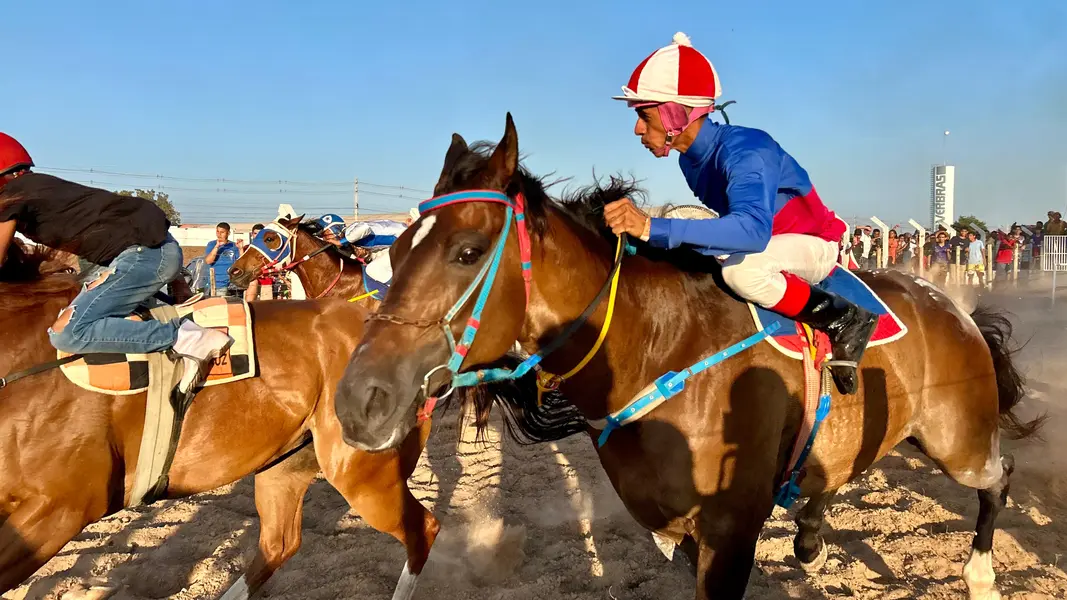 Vaquejada na Festa do Vaqueiro, em Demerval Lobão