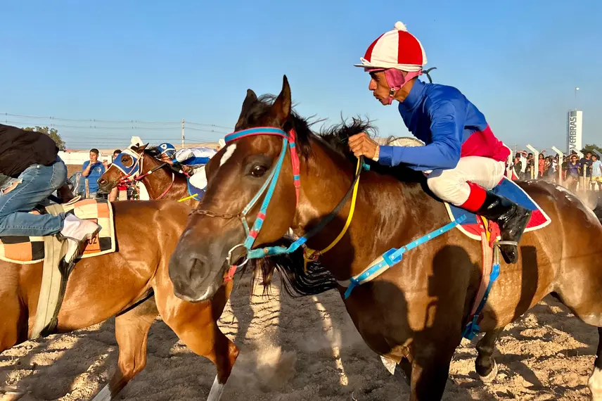 Vaquejada na Festa do Vaqueiro, em Demerval Lobão