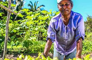 Agricultura Familiar (Foto: Reprodução/ SAF)