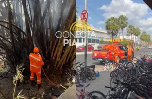 Altas temperaturas causam novo incêndio no Troca-Troca de Teresina (Foto: Conecta Piauí)