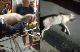 Altos: suspeito de assalto morre após bater em cachorro enquanto fugia da polícia (Foto: Reprodução)