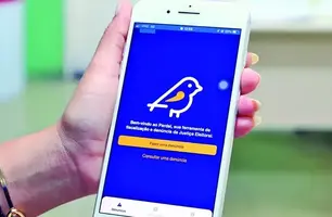 App Pardal 2024 receberá denúncias de propaganda eleitoral irregular na internet (Foto: TSE)