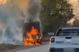 Caminhão fica destruído após pegar fogo na BR-343 entre Teresina e Altos (Foto: Reprodução)