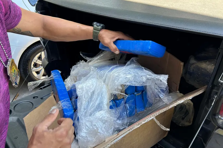 Droga apreendida pelo Denarc