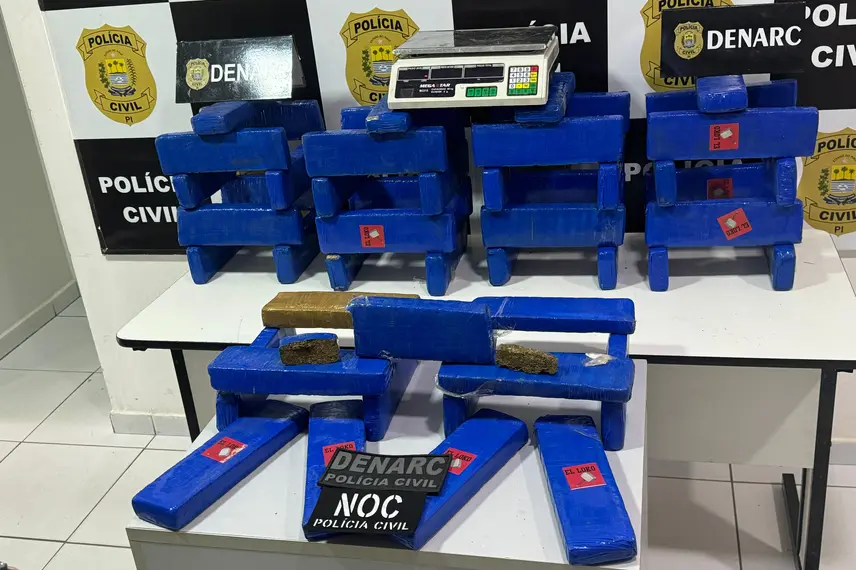 Droga apreendida pelo Denarc