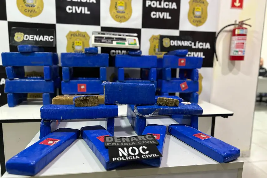 Droga apreendida pelo Denarc