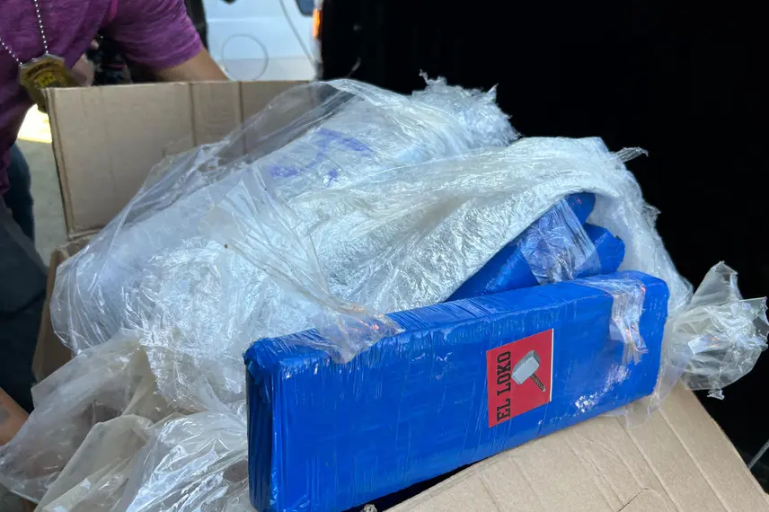 Droga apreendida pelo Denarc