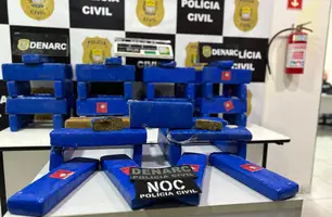 Droga apreendida pelo Denarc (Foto: Tiago Moura/ Conecta Piauí)