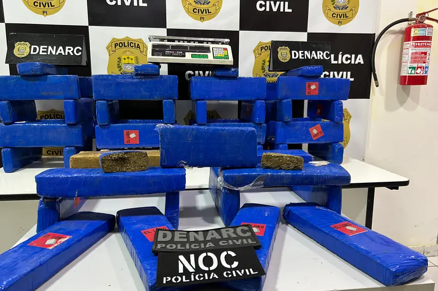 Droga apreendida pelo Denarc