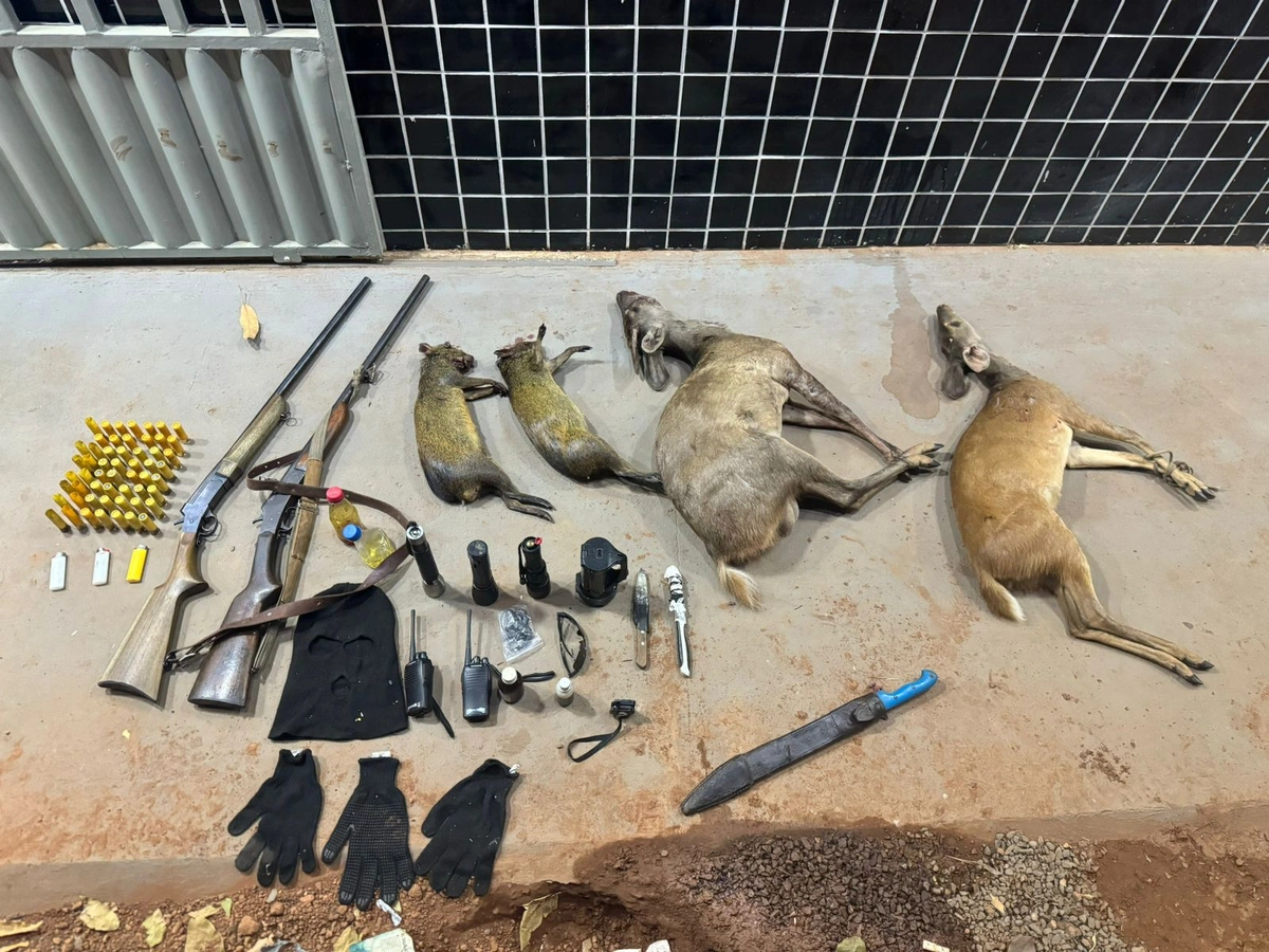 Dupla é presa com equipamentos, armas e animais abatidos ilegalmente em Uruçuí